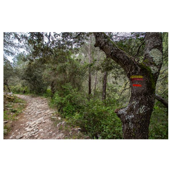 PHOTO84, CLUB, 84 , LUBERON